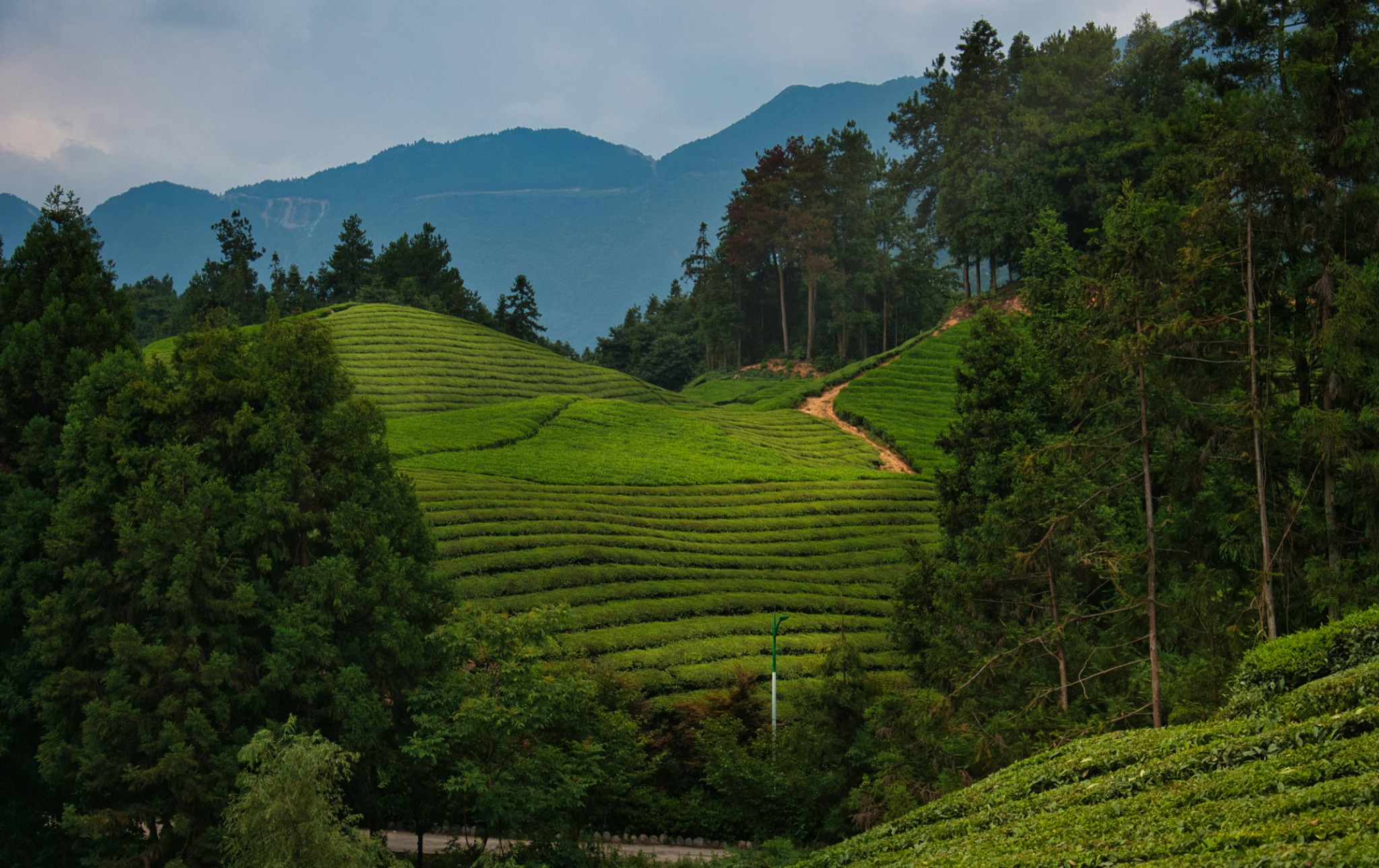 The Importance of Sustainable Practices In Everyday Life
